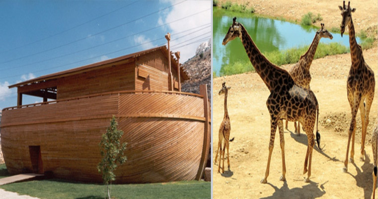 Noah's Ark Attraction