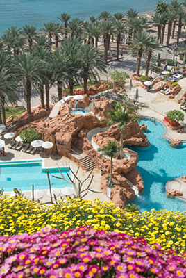 Dan Eilat