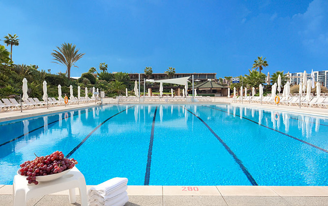 תמונה של בריכת המלון