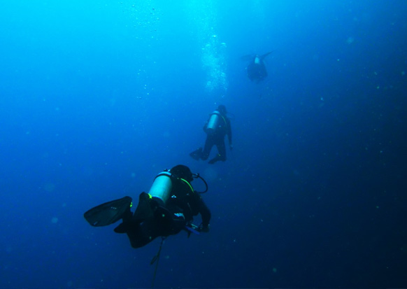 diving in eilat