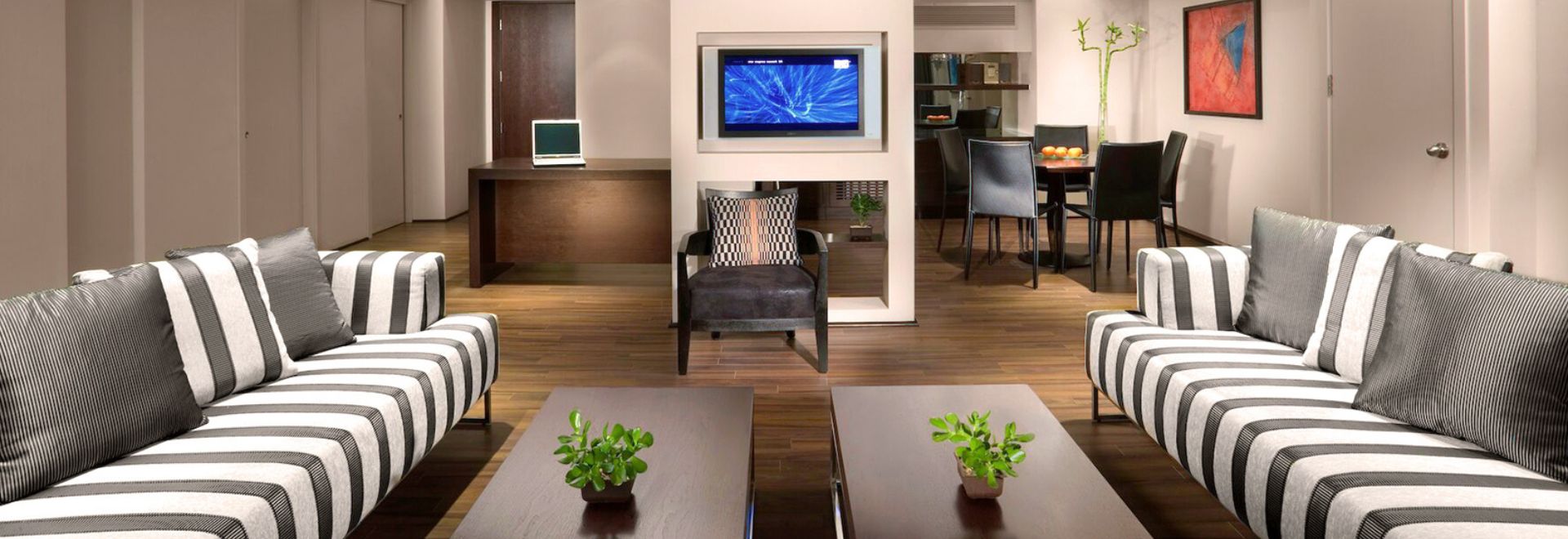 Dan Carmel Suite