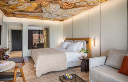 Garden Chalet Room picture