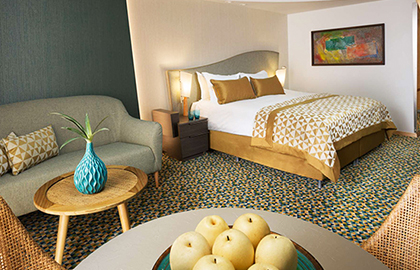 Deluxe Room picture