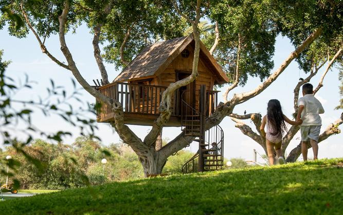 Tree House