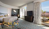 New Terrace room