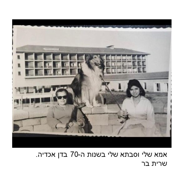 רננה