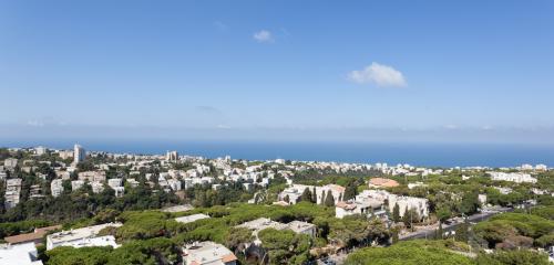 Dan Carmel view picture