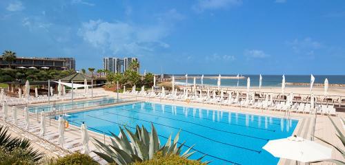 Swimming pool picture