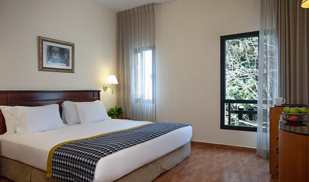 Beit Rimon Room