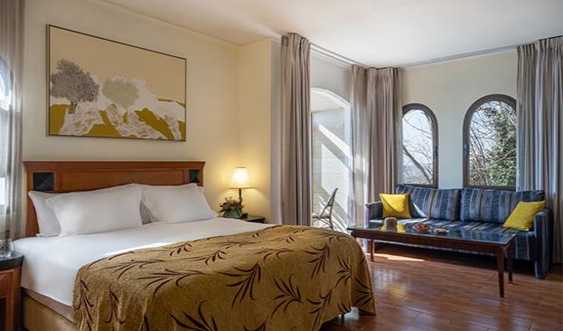 Gefen Mount Meron Room