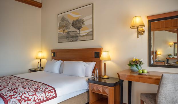 Gefen Mount Meron Room