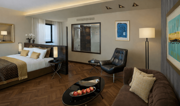 Studio Suite Picture