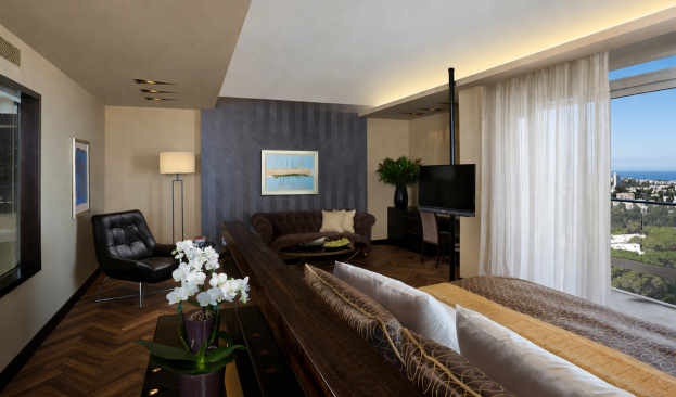 Studio Suite Picture