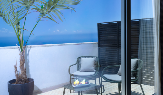 Executive Terrace Room