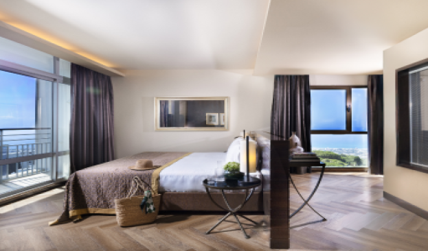 Studio Suite Picture