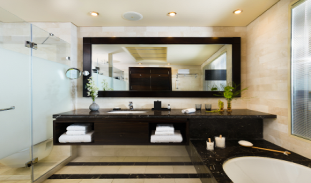 Studio Suite Picture