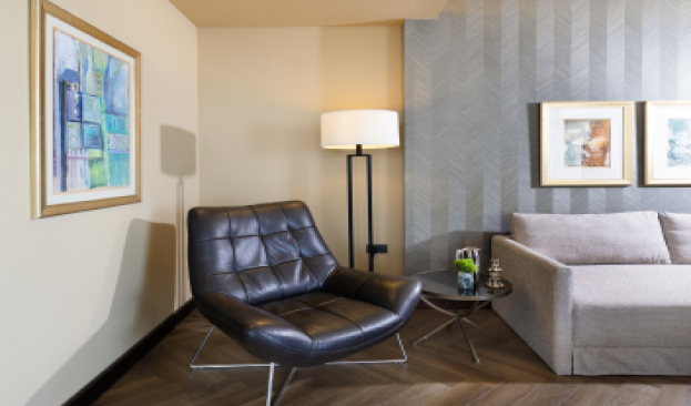 Studio Suite Picture