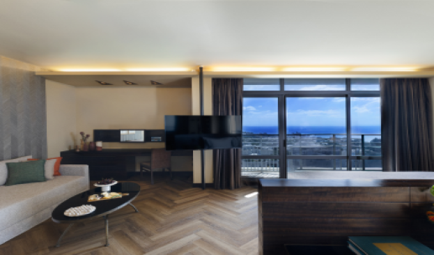 Studio Suite Picture