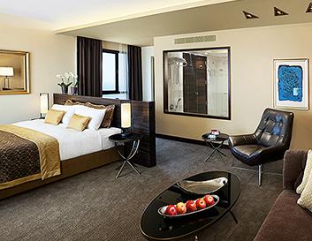 Studio Suite Picture