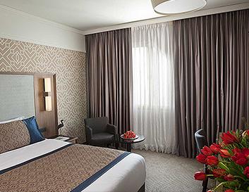 Deluxe Room picture