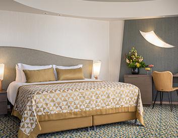 Deluxe Suite picture