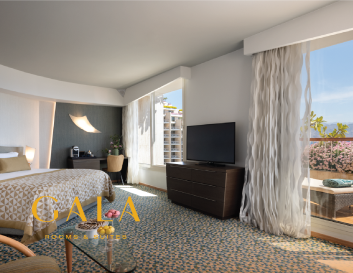 GALA Terrace Room picture