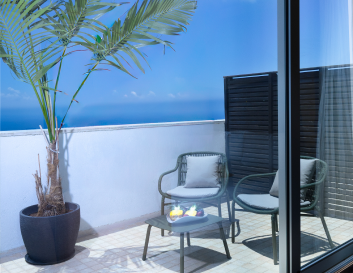 Executive Terrace Room