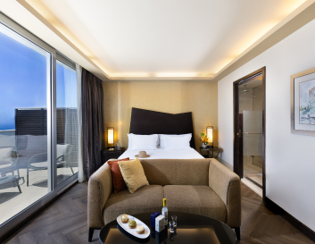 Executive Terrace Room