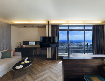 Studio Suite Picture