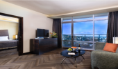 Executive Suite picture